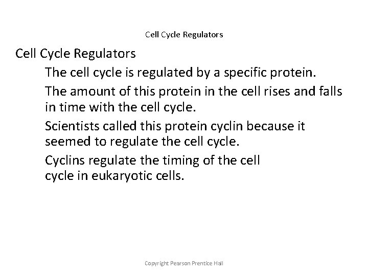 Cell Cycle Regulators The cell cycle is regulated by a specific protein. The amount