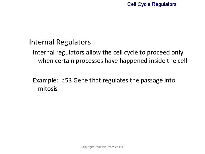 Cell Cycle Regulators Internal regulators allow the cell cycle to proceed only when certain