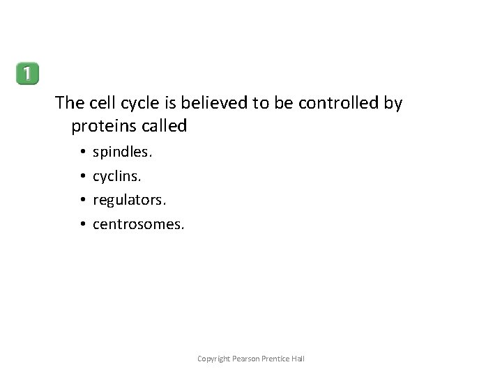 The cell cycle is believed to be controlled by proteins called • • spindles.