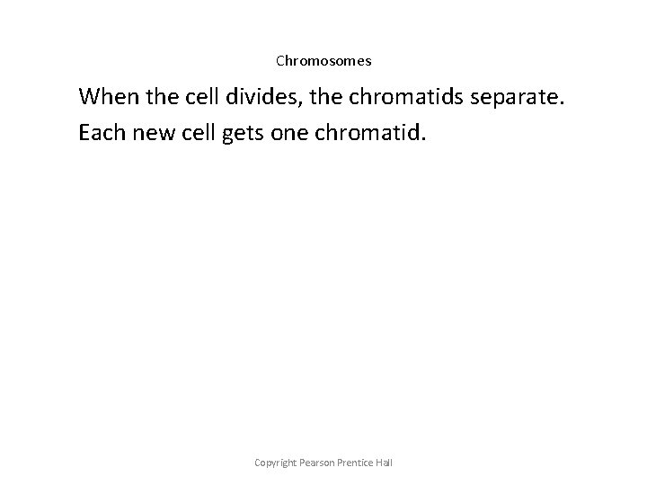 Chromosomes When the cell divides, the chromatids separate. Each new cell gets one chromatid.