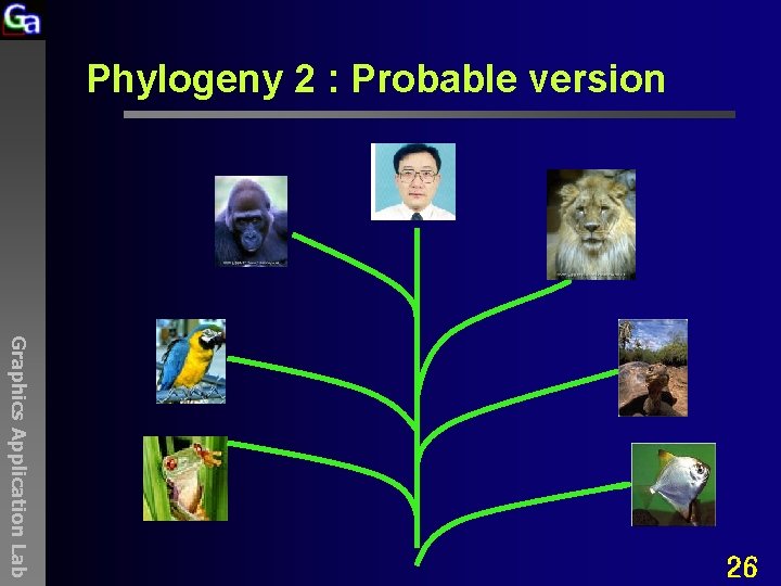 Phylogeny 2 : Probable version Graphics Application Lab 26 