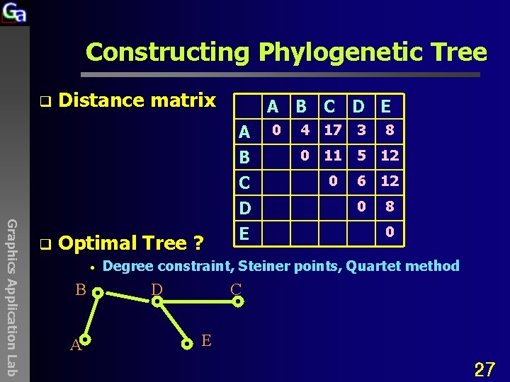 Constructing Phylogenetic Tree q Distance matrix A B C D E A B C