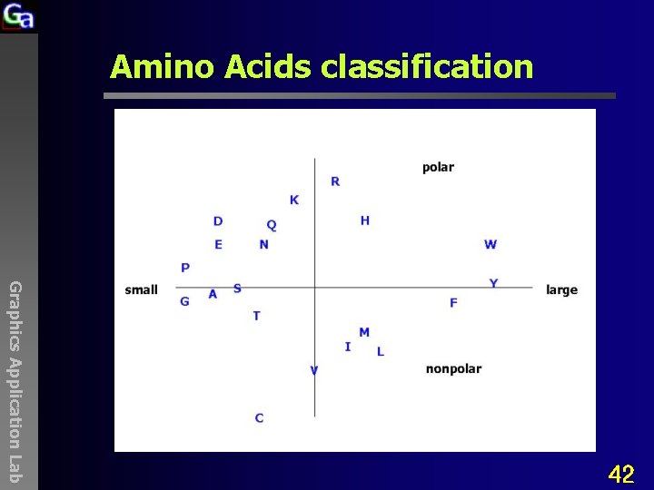 Amino Acids classification Graphics Application Lab 42 