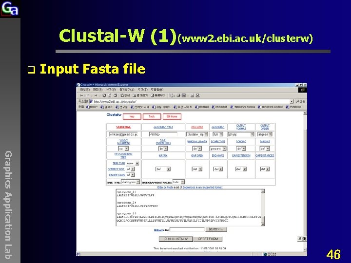 Clustal-W (1)(www 2. ebi. ac. uk/clusterw) q Input Fasta file Graphics Application Lab 46