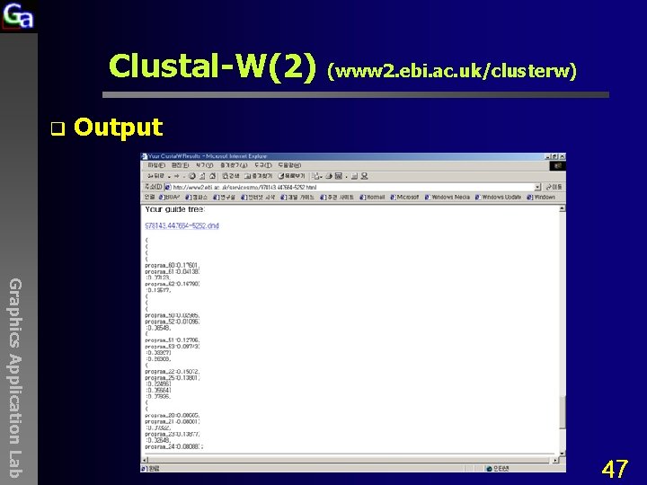 Clustal-W(2) (www 2. ebi. ac. uk/clusterw) q Output Graphics Application Lab 47 