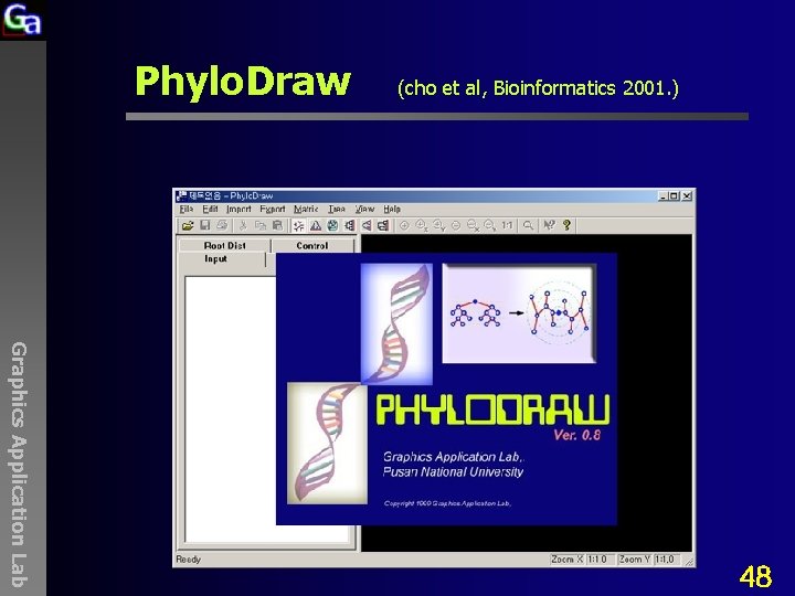 Phylo. Draw (cho et al, Bioinformatics 2001. ) Graphics Application Lab 48 