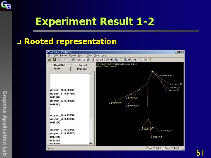 Experiment Result 1 -2 q Rooted representation Graphics Application Lab 51 