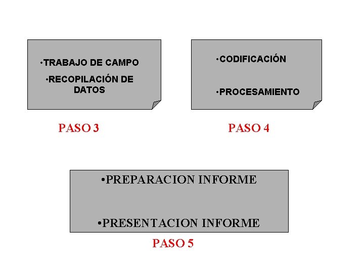  • CODIFICACIÓN • TRABAJO DE CAMPO • RECOPILACIÓN DE DATOS • PROCESAMIENTO PASO