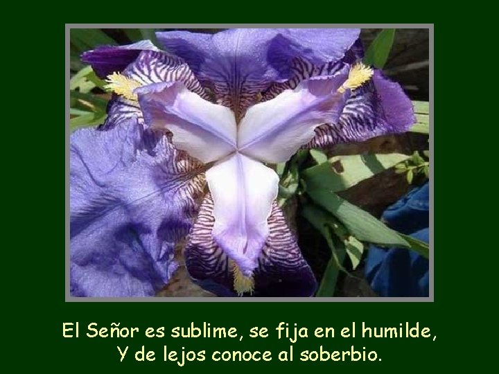 El Señor es sublime, se fija en el humilde, Y de lejos conoce al