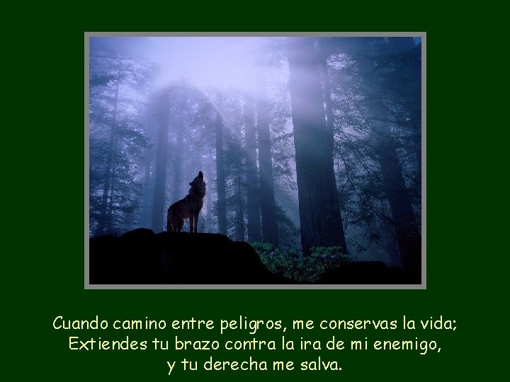 Cuando camino entre peligros, me conservas la vida; Extiendes tu brazo contra la ira