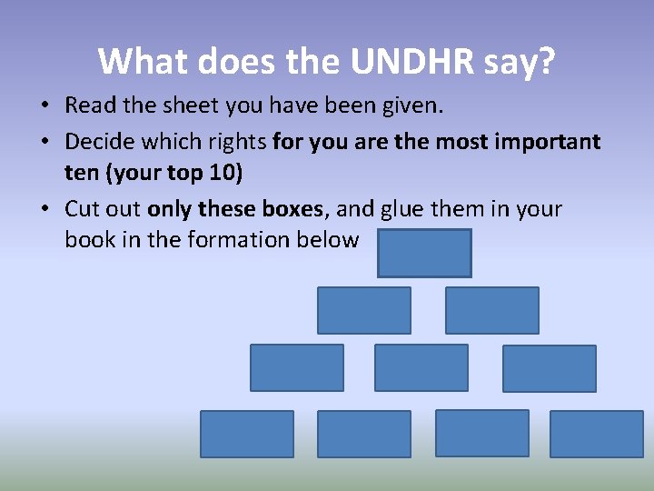 What does the UNDHR say? • Read the sheet you have been given. •