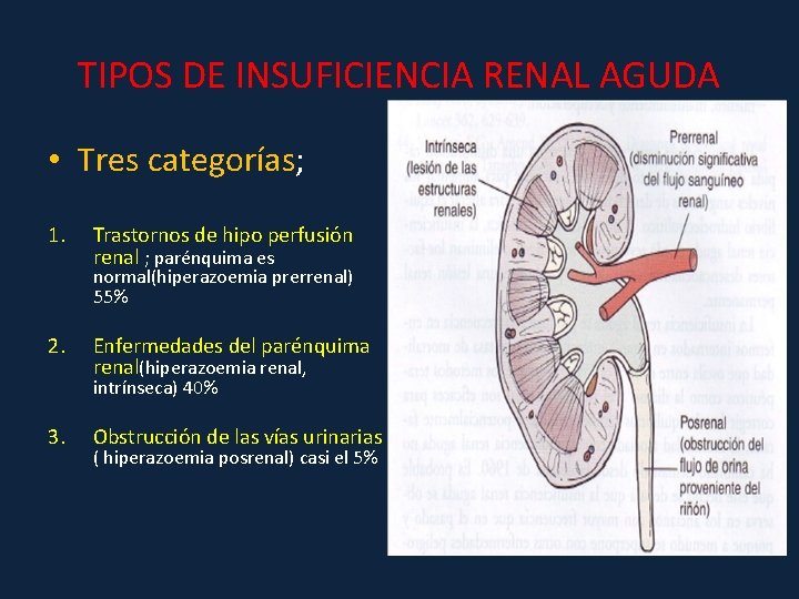 TIPOS DE INSUFICIENCIA RENAL AGUDA • Tres categorías; 1. Trastornos de hipo perfusión renal