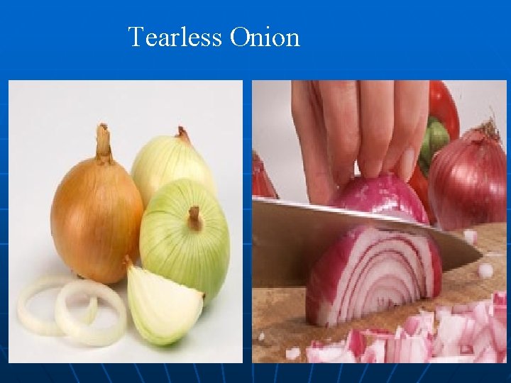 Tearless Onion 