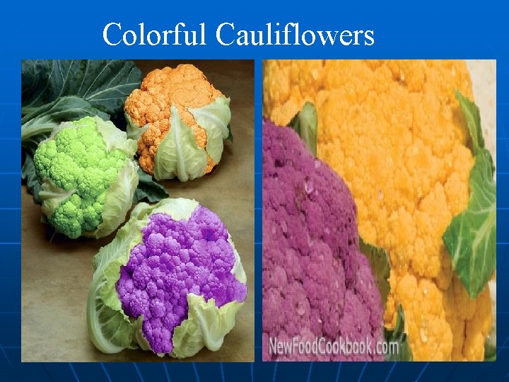 Colorful Cauliflowers 