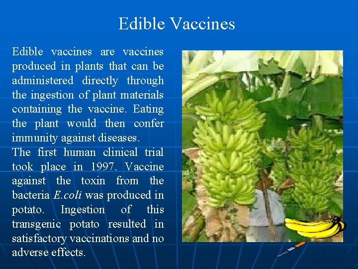 Edible Vaccines Edible vaccines are vaccines produced in plants that can be administered directly