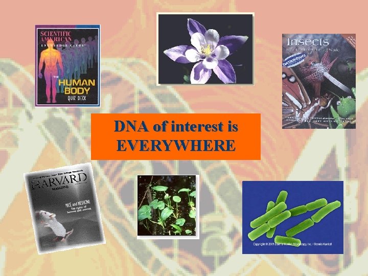 DNA of interest is EVERYWHERE 
