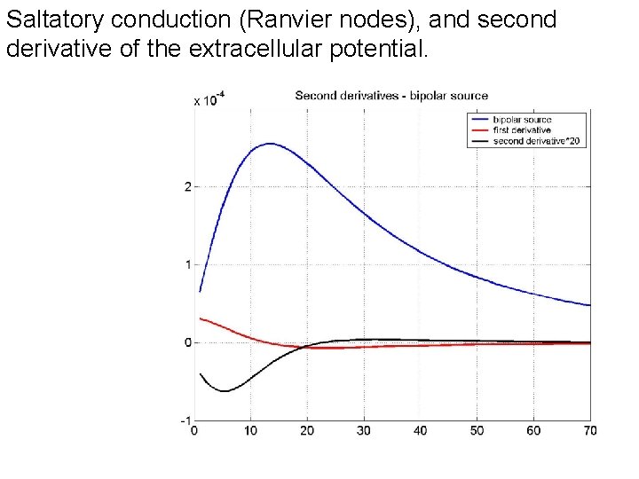 Saltatory conduction (Ranvier nodes), and second derivative of the extracellular potential. 
