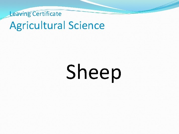 Leaving Certificate Agricultural Science Sheep 