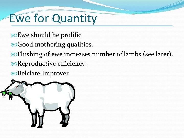 Ewe for Quantity Ewe should be prolific Good mothering qualities. Flushing of ewe increases