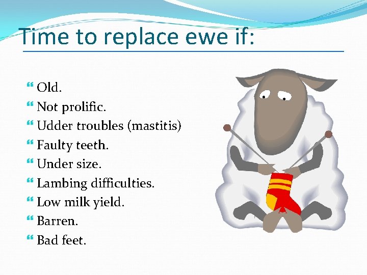 Time to replace ewe if: Old. Not prolific. Udder troubles (mastitis) Faulty teeth. Under