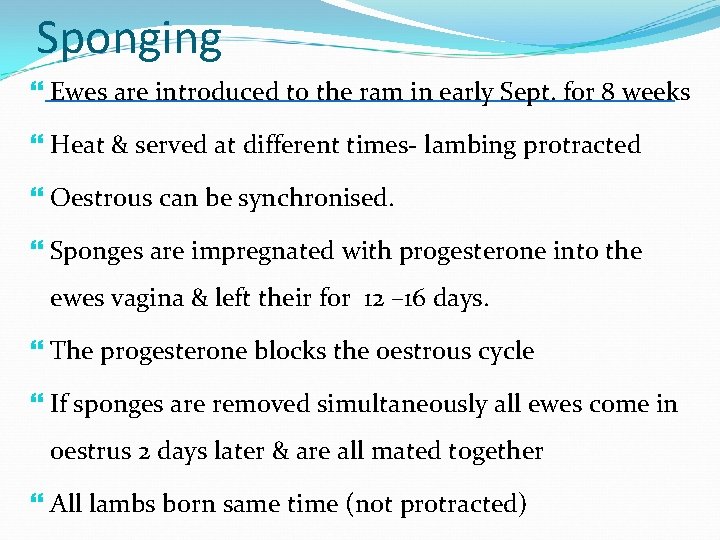 Sponging Ewes are introduced to the ram in early Sept. for 8 weeks Heat