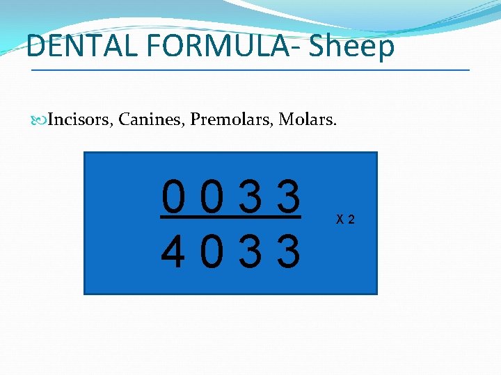 DENTAL FORMULA- Sheep Incisors, Canines, Premolars, Molars. 0033 4033 X 2 
