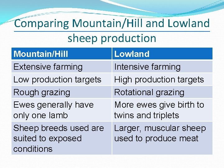 Comparing Mountain/Hill and Lowland sheep production Mountain/Hill Extensive farming Low production targets Rough grazing