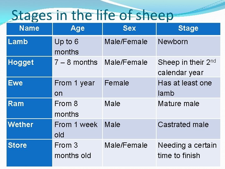 Stages in the life of sheep Name Lamb Hogget Ewe Ram Wether Store Age