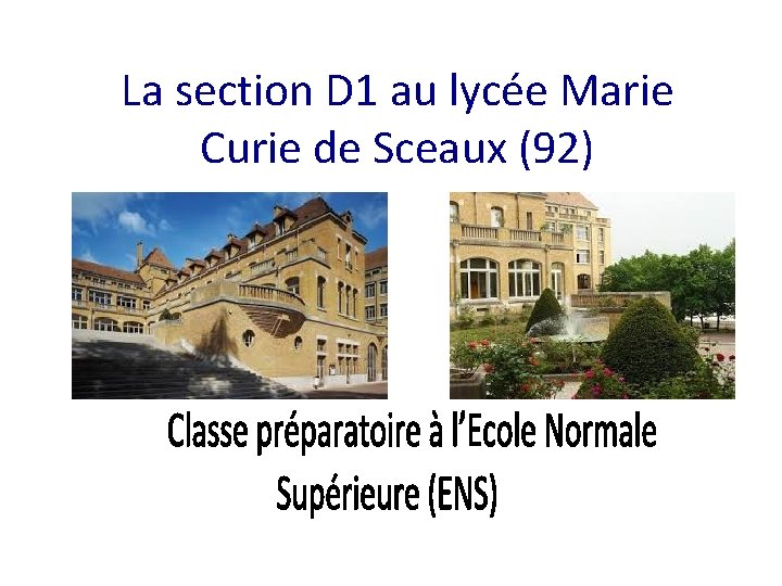 La section D 1 au lycée Marie Curie de Sceaux (92) 