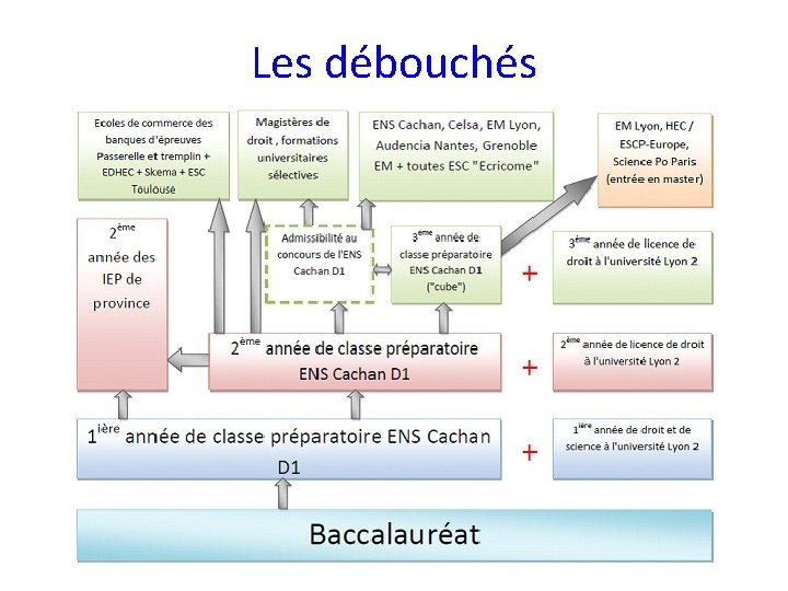 Les débouchés 