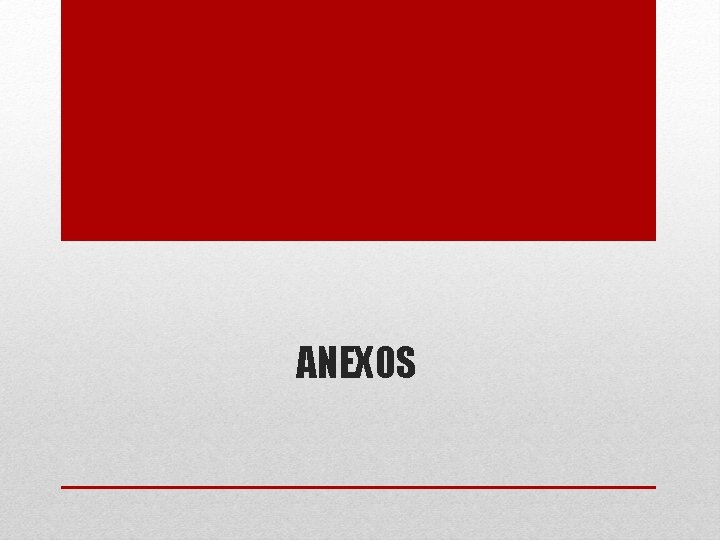 ANEXOS 