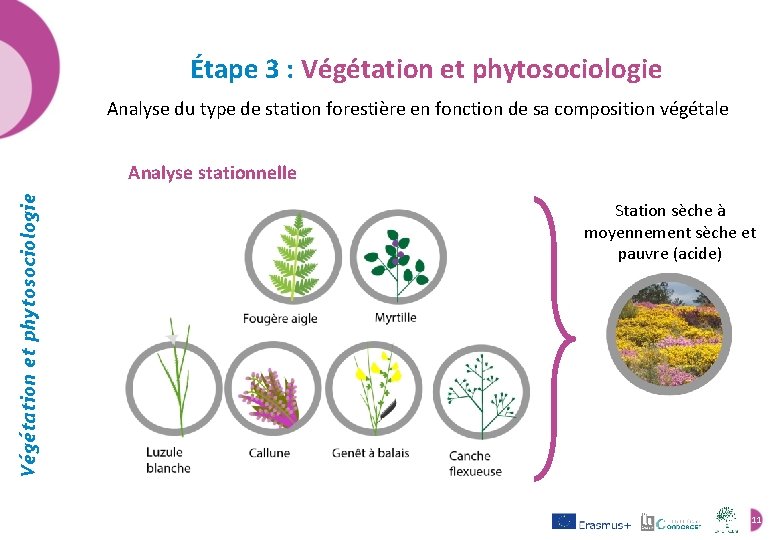 Étape 3 : Végétation et phytosociologie Analyse du type de station forestière en fonction