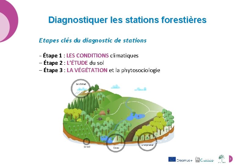 Diagnostiquer les stations forestières Etapes clés du diagnostic de stations – Étape 1 :