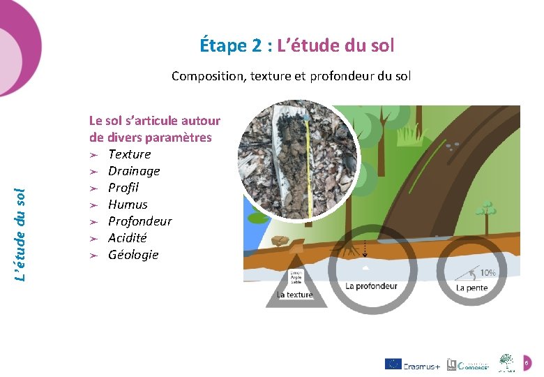 Étape 2 : L’étude du sol Composition, texture et profondeur du sol Le sol