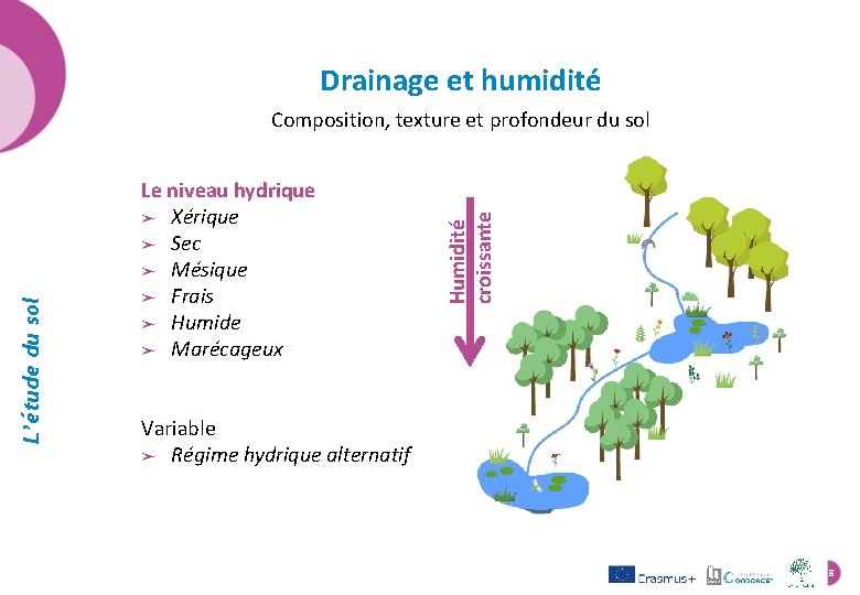 Drainage et humidité Le niveau hydrique ➤ Xérique ➤ Sec ➤ Mésique ➤ Frais