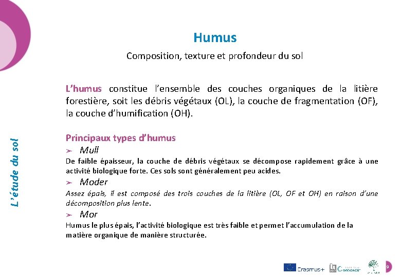 Humus Composition, texture et profondeur du sol L’étude du sol L’humus constitue l’ensemble des