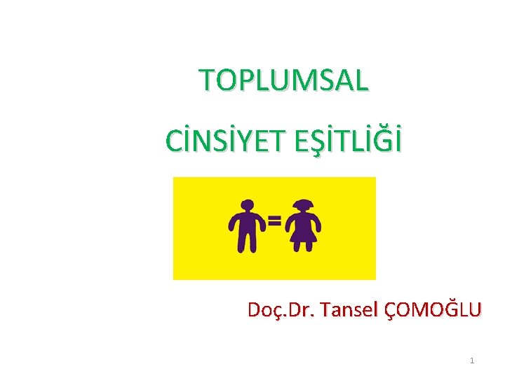 TOPLUMSAL CİNSİYET EŞİTLİĞİ Doç. Dr. Tansel ÇOMOĞLU 1 