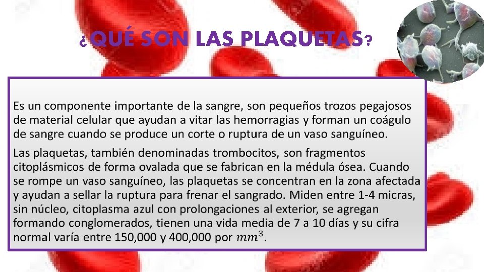 ¿QUÉ SON LAS PLAQUETAS? • 