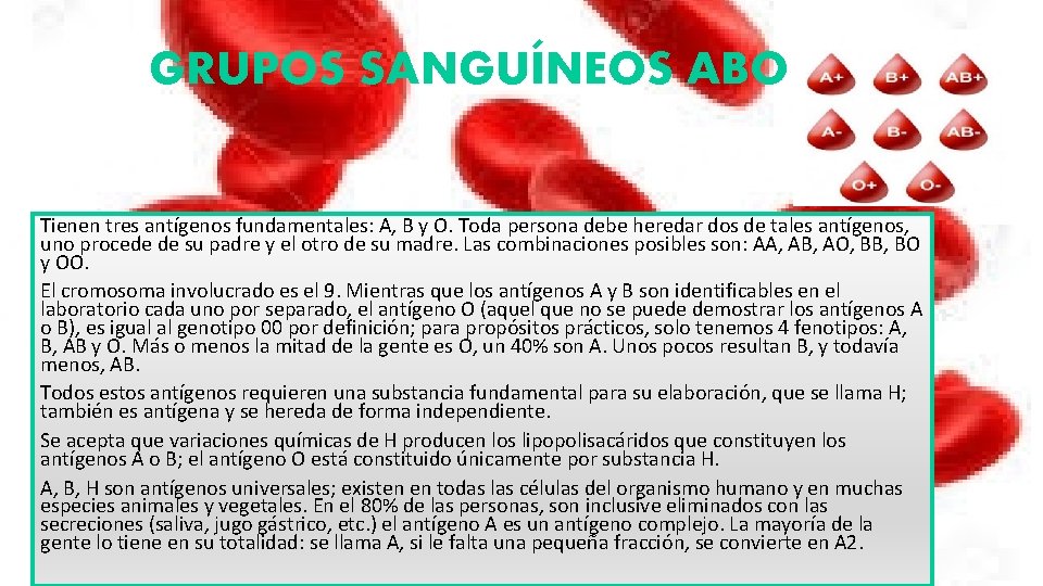 GRUPOS SANGUÍNEOS ABO Tienen tres antígenos fundamentales: A, B y O. Toda persona debe