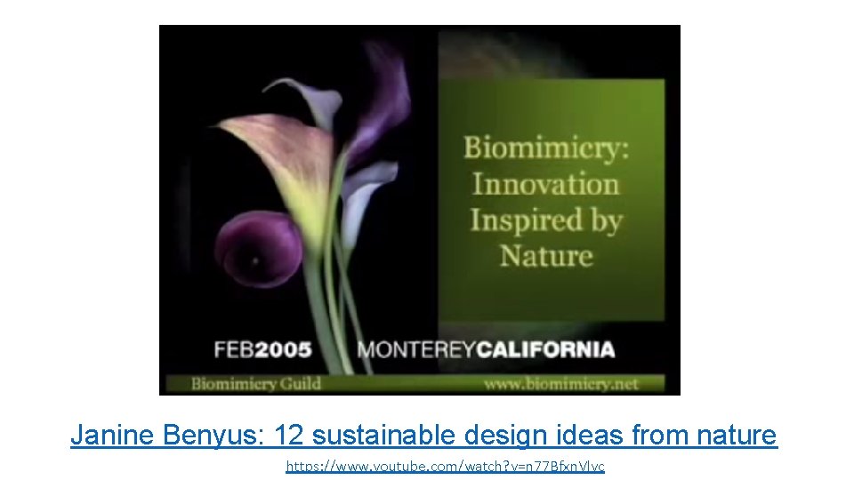 Janine Benyus: 12 sustainable design ideas from nature https: //www. youtube. com/watch? v=n 77
