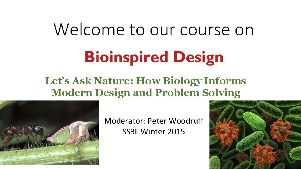 Welcome to our course on Let’s Ask Nature: How Biology Informs Modern Design and