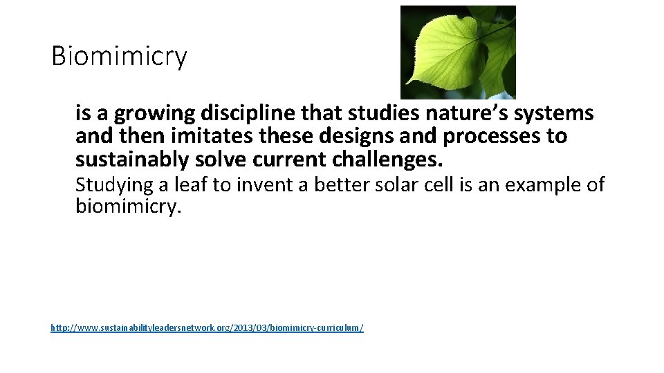 Biomimicry is a growing discipline that studies nature’s systems and then imitates these designs