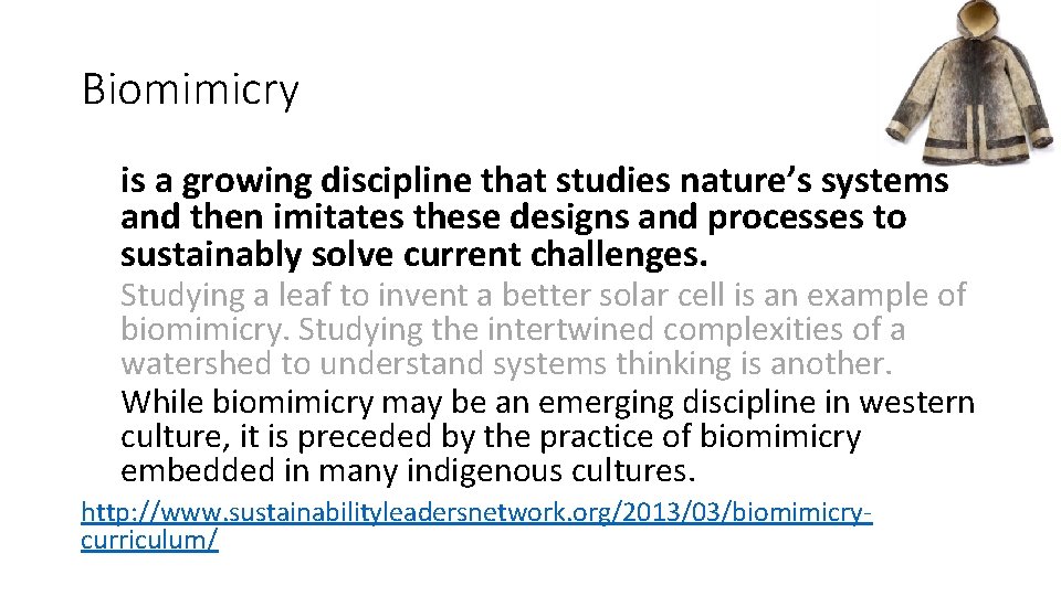 Biomimicry is a growing discipline that studies nature’s systems and then imitates these designs