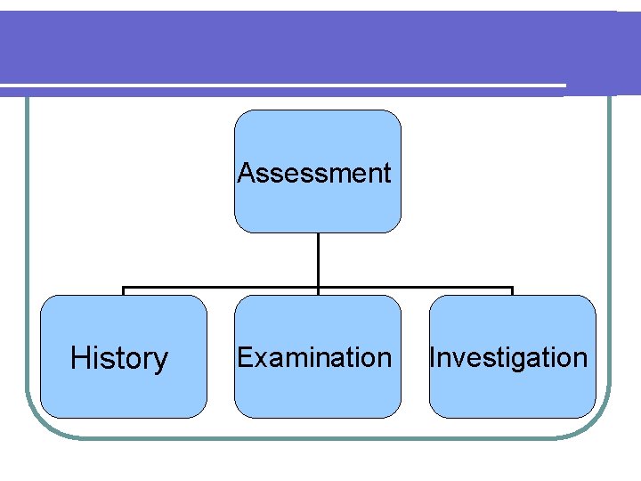 Assessment History Examination Investigation 