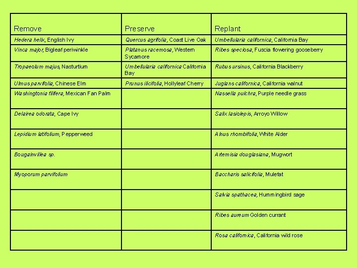 Remove Preserve Replant Hedera helix, English Ivy Quercus agrifolia, Coast Live Oak Umbellularia californica,