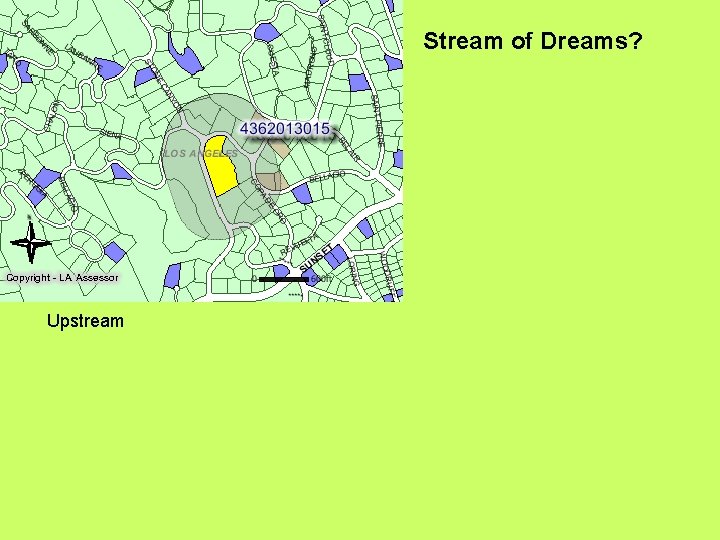 Stream of Dreams? Upstream 