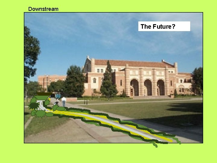 Downstream The Future? 