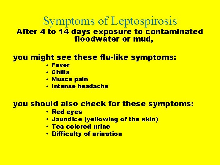 Symptoms of Leptospirosis After 4 to 14 days exposure to contaminated floodwater or mud,