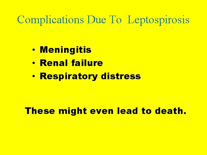 Complications Due To Leptospirosis • Meningitis • Renal failure • Respiratory distress These might