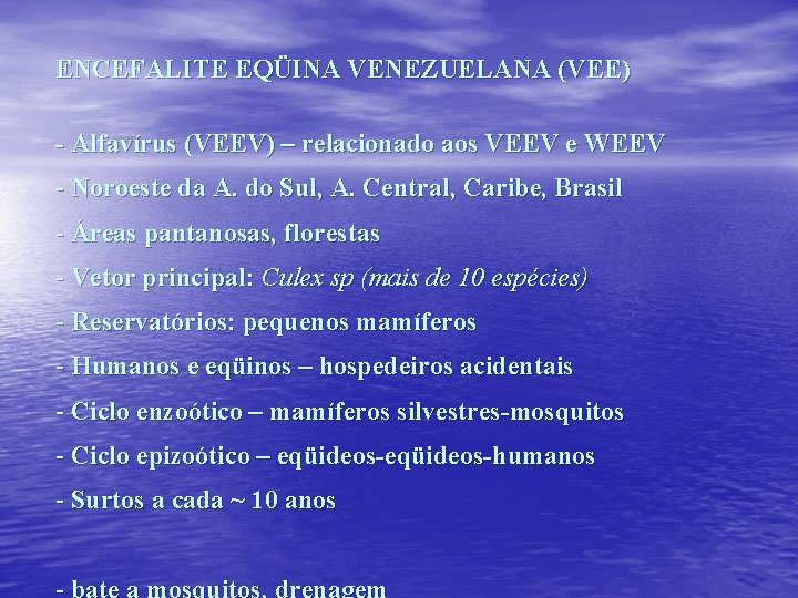 ENCEFALITE EQÜINA VENEZUELANA (VEE) - Alfavírus (VEEV) – relacionado aos VEEV e WEEV -